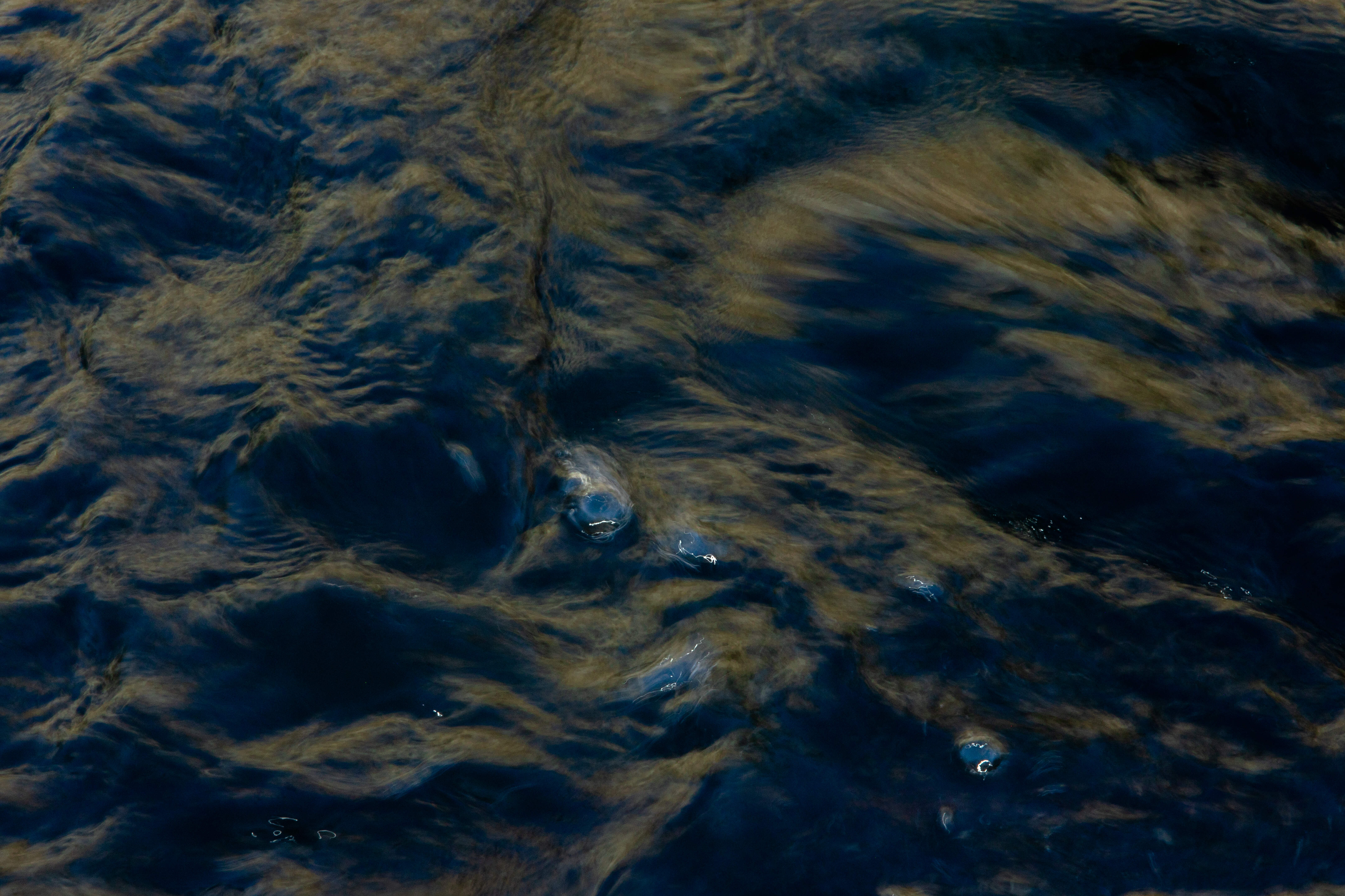 Perosnal Photography