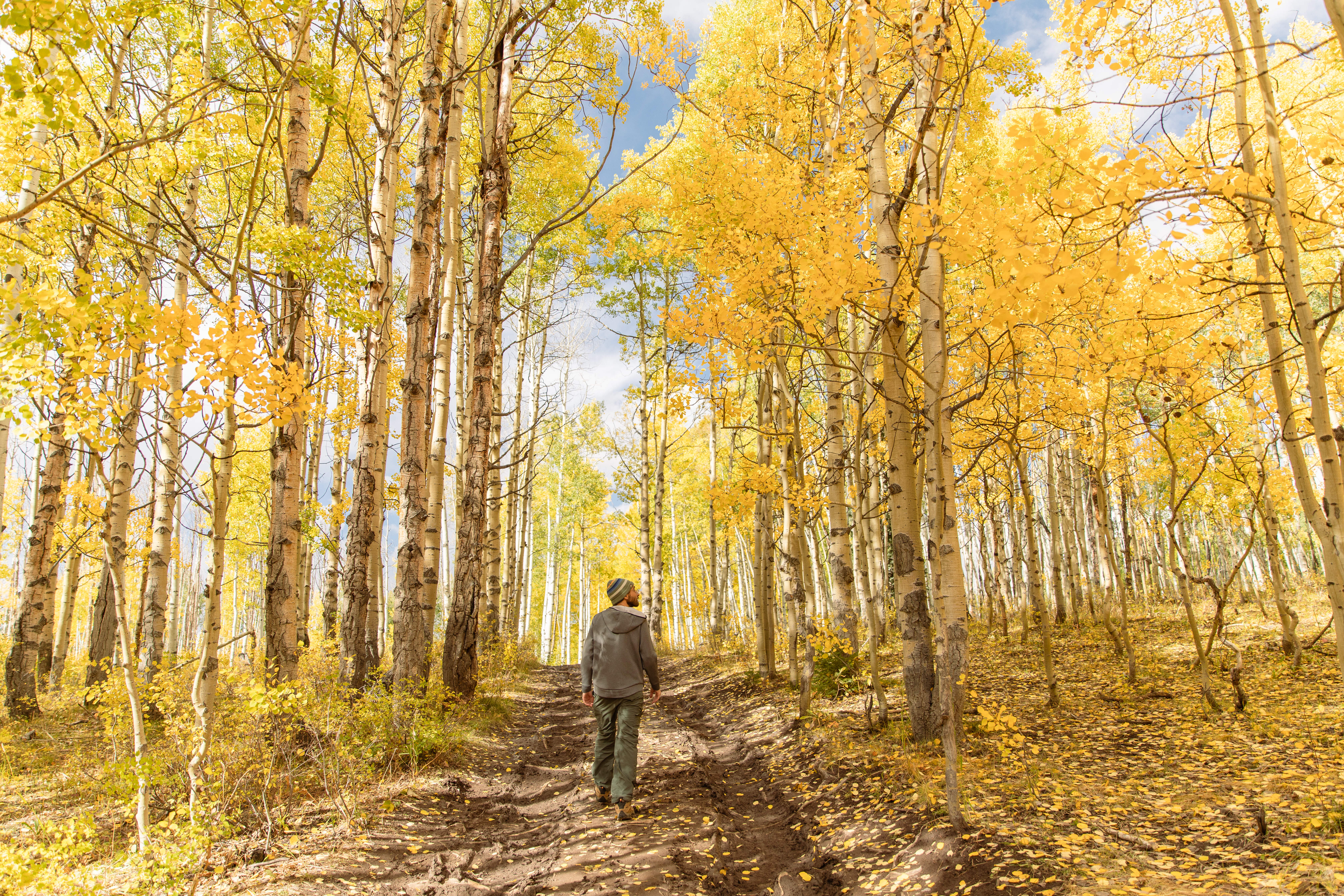 Perosnal Photography