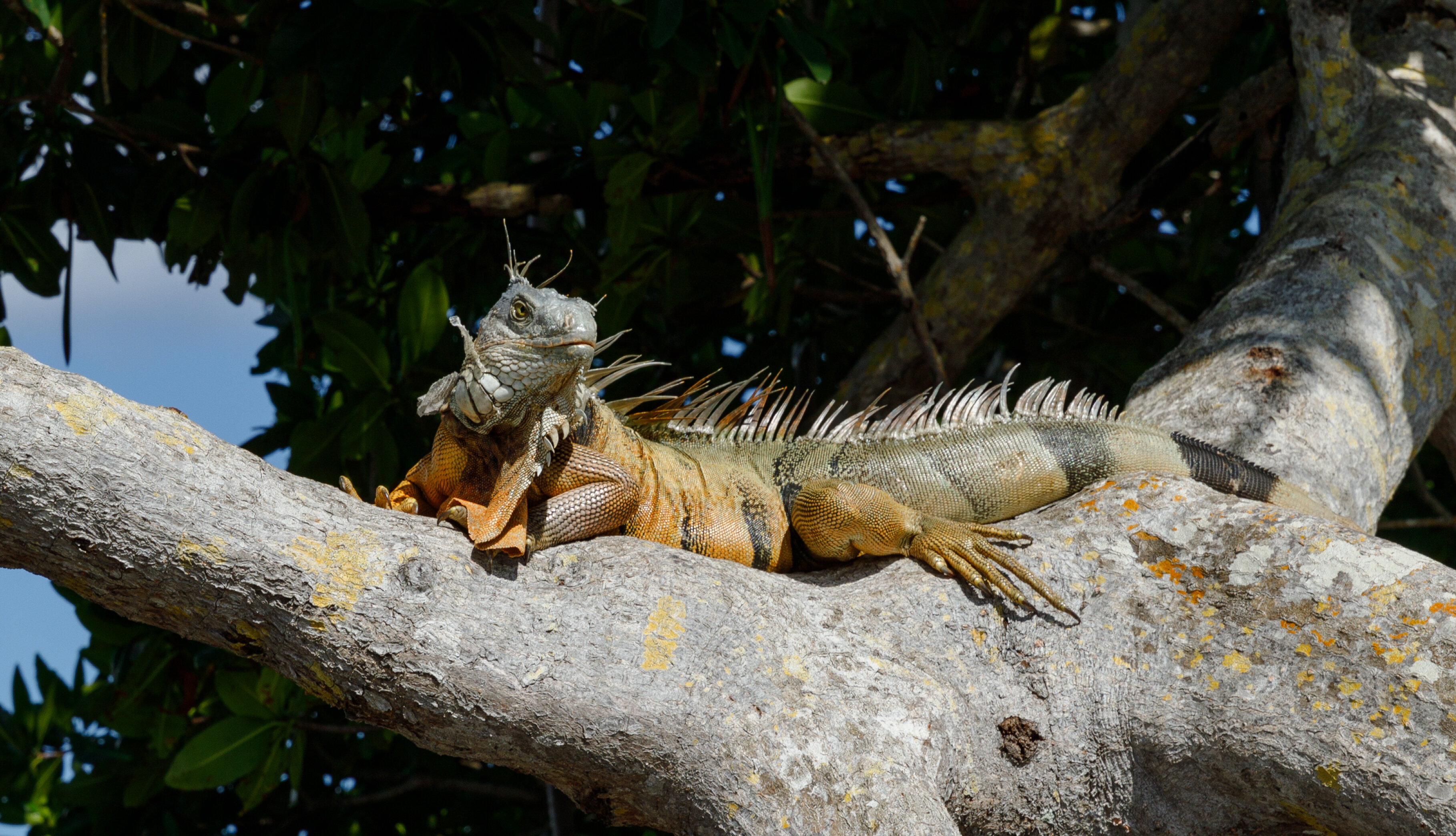 Perosnal Photography