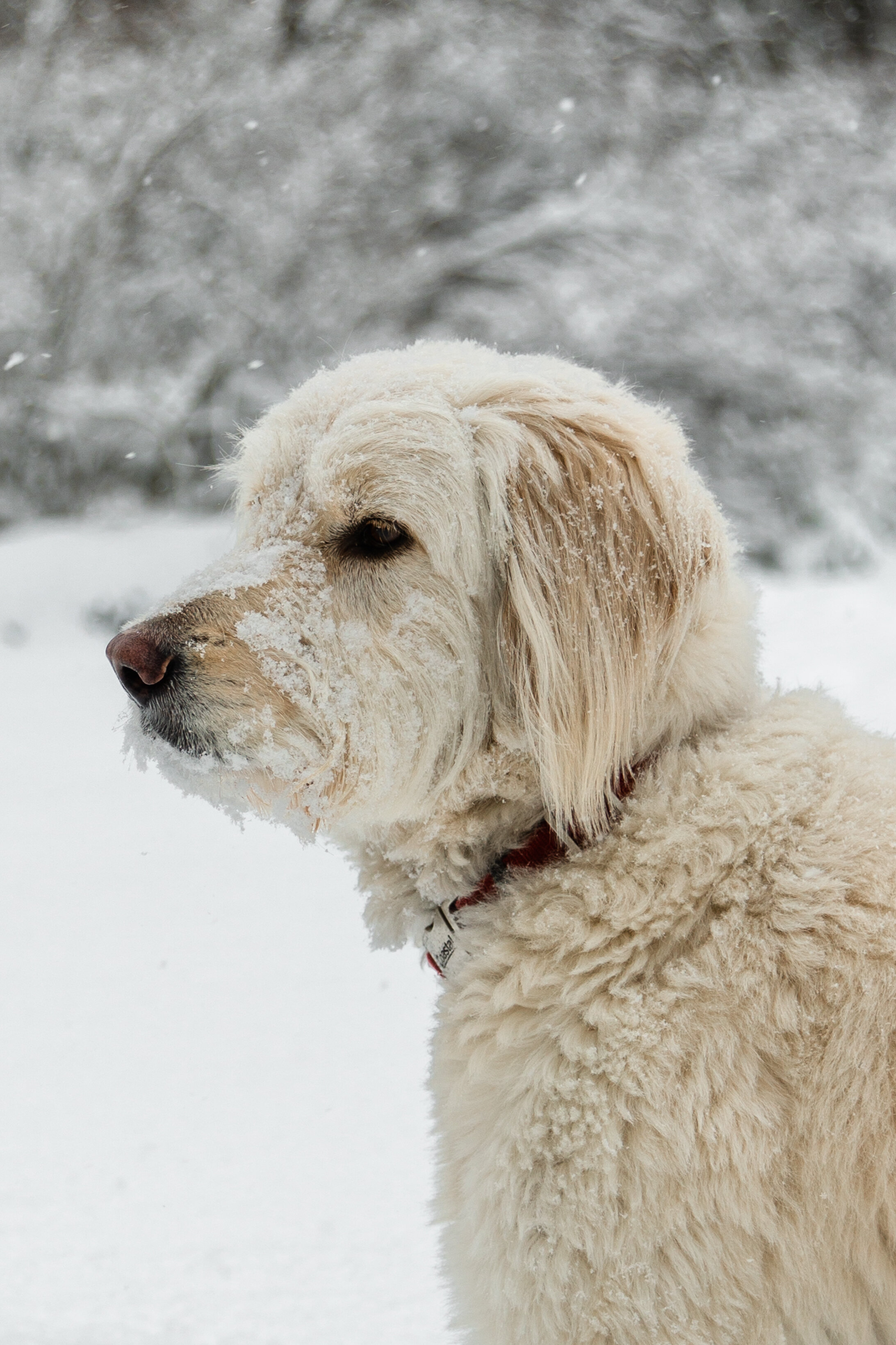 Perosnal Photography