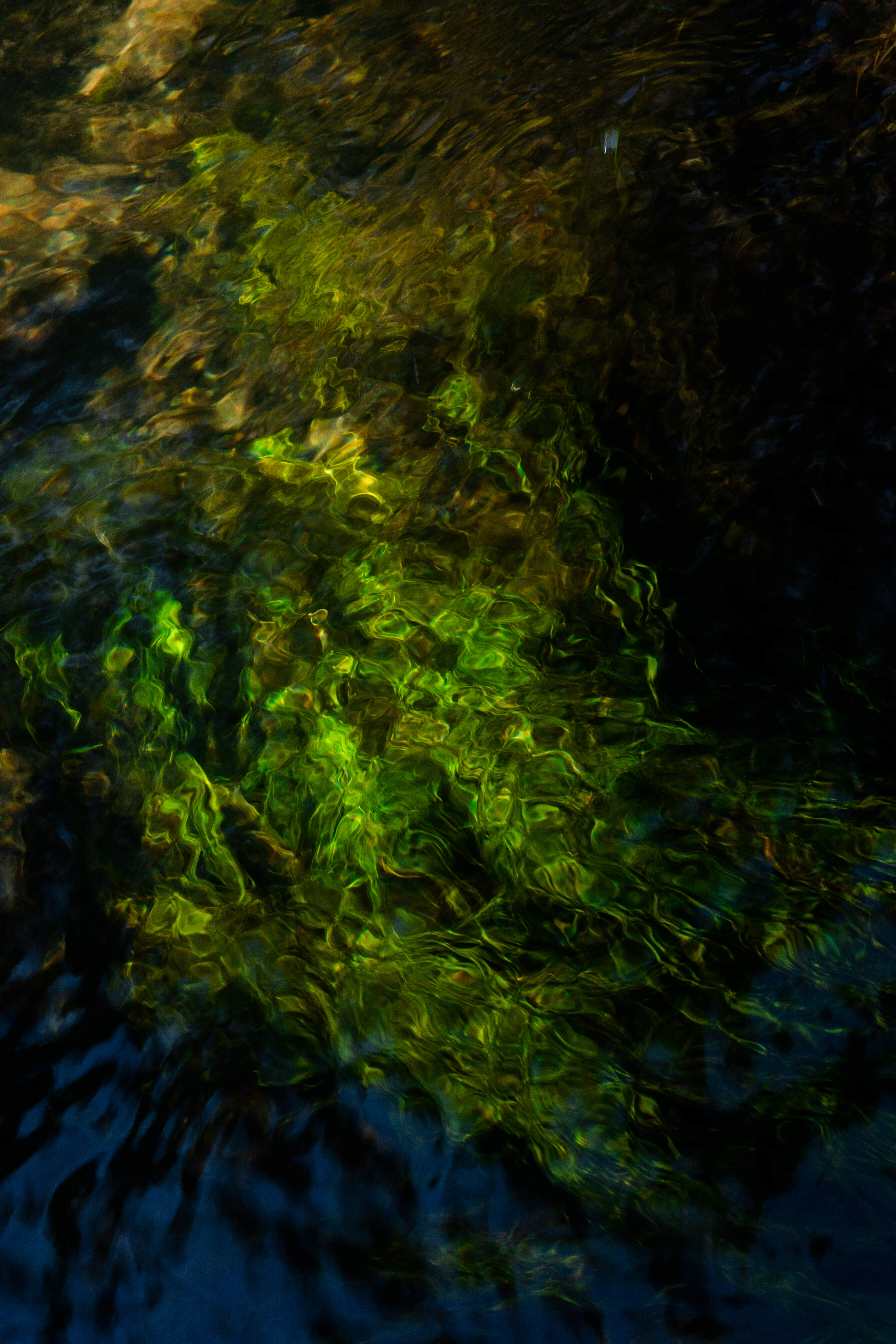 Perosnal Photography